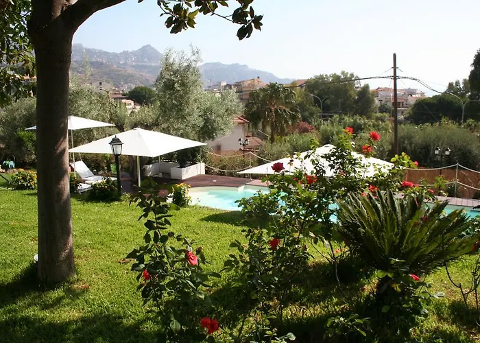 Avocado B&B Beyond