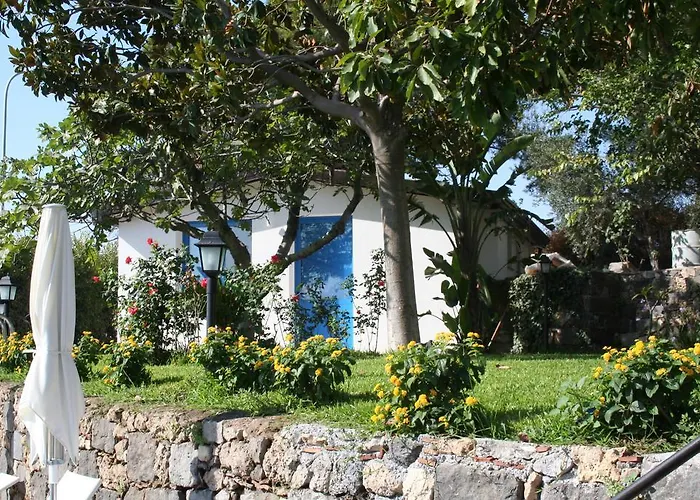 Avocado B&B Beyond