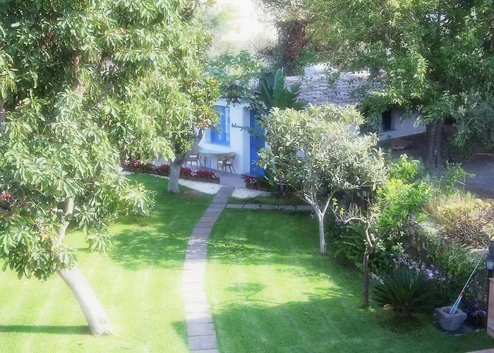 Avocado B&B Beyond