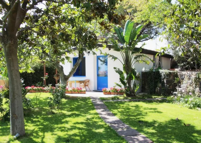 Avocado B&B Beyond